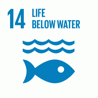 E INVERTED SDG goals icons individual RGB 14