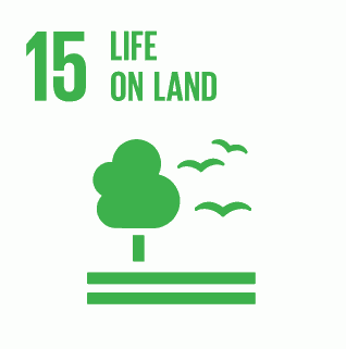 E INVERTED SDG goals icons individual RGB 15
